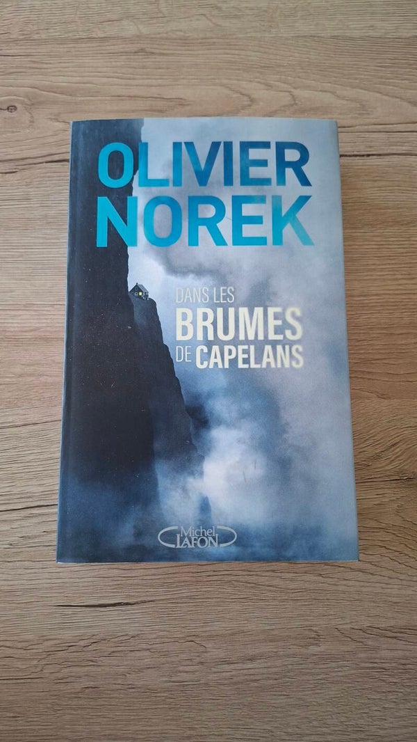 Olivier Norek - Dans les brumes de capelans