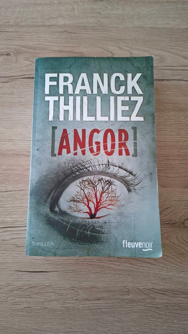 Franck Thilliez - Angor