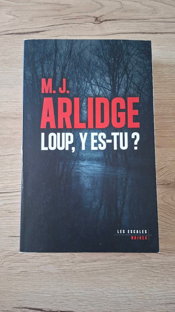 M.J. Arlidge - Loup, y es-tu ?