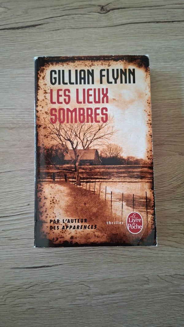 Gillian Flynn - Les lieux sombres