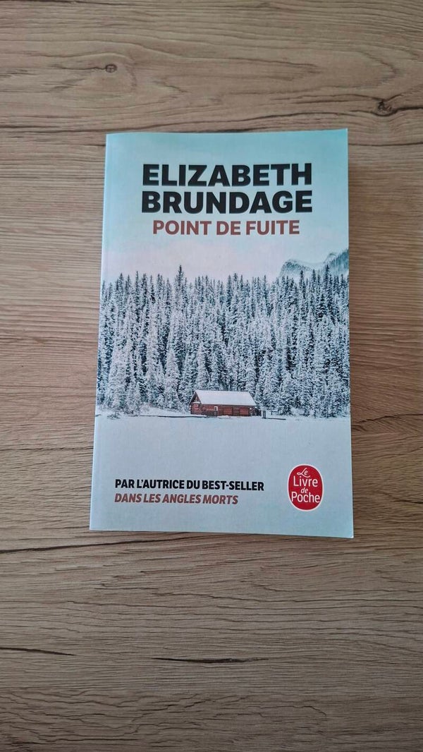 Elizabeth Brundage - Point de fuite
