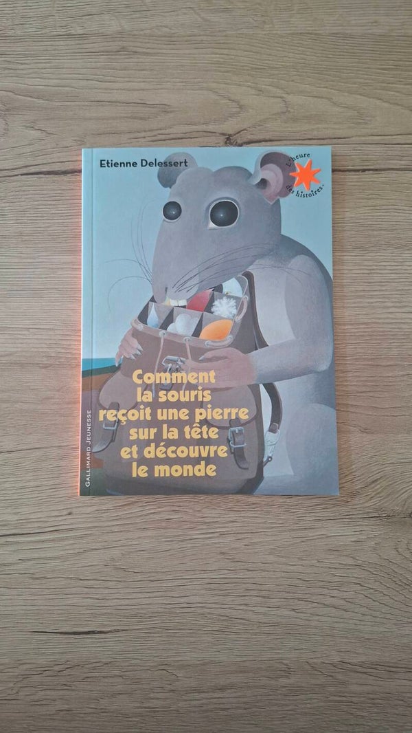 Comment la souris reçoit une pierre sur la tête et découvre le monde