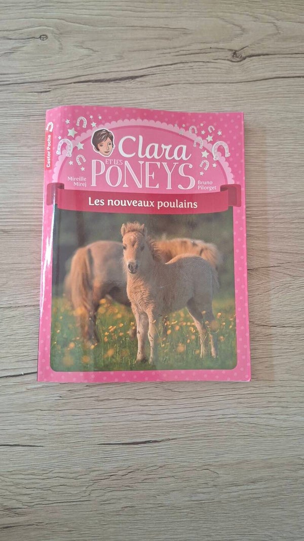 Clara et les poneys - Les nouveaux poulains
