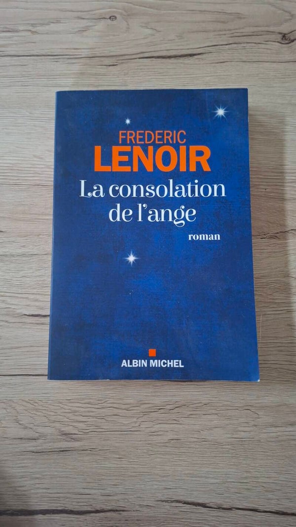 Frédéric Lenoir - La consolation de l'ange