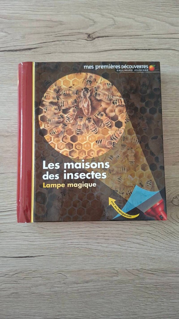 Les maisons des insectes