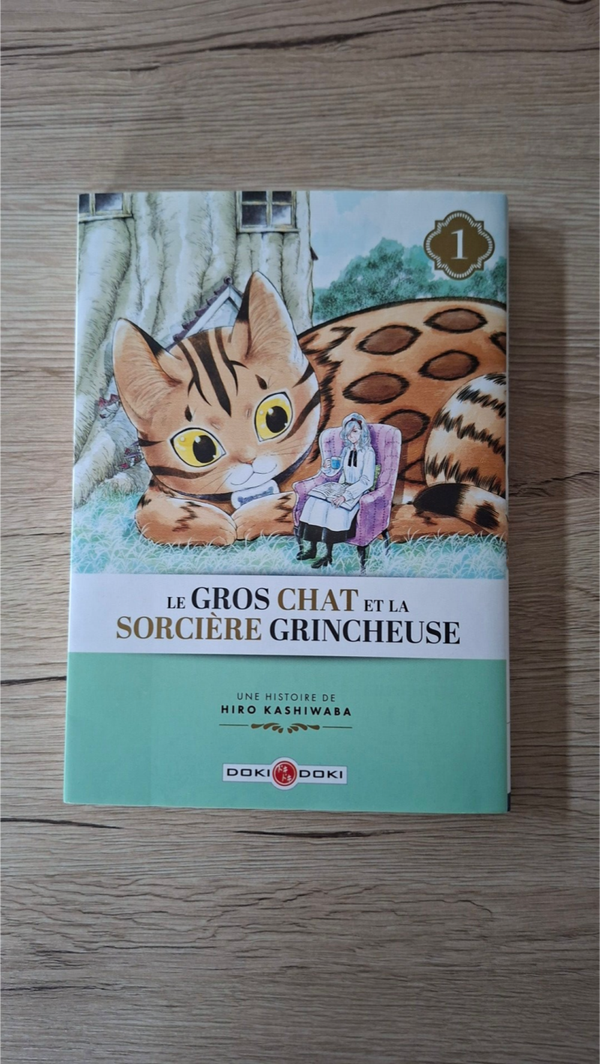 Hiro Kashiwaba - Le gros chat et la sorcière grincheuse - Tome 1