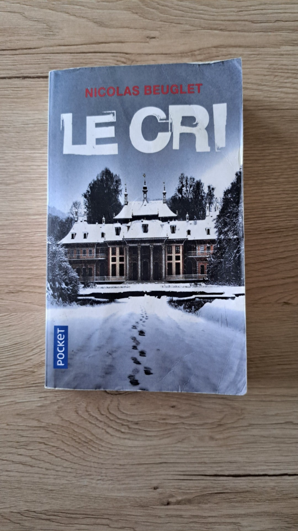 Nicolas Beuglet - Le cri