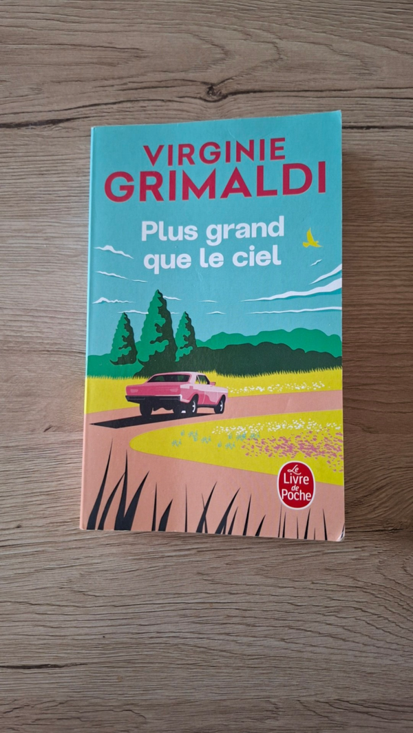 Virginie Grimaldi - Plus grand que le ciel