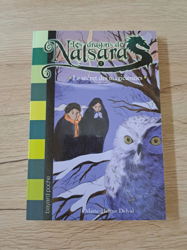 Les dragons de Nalsara - Le secret des magiciennes