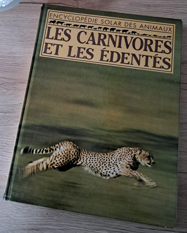 Les carnivores et les édentés