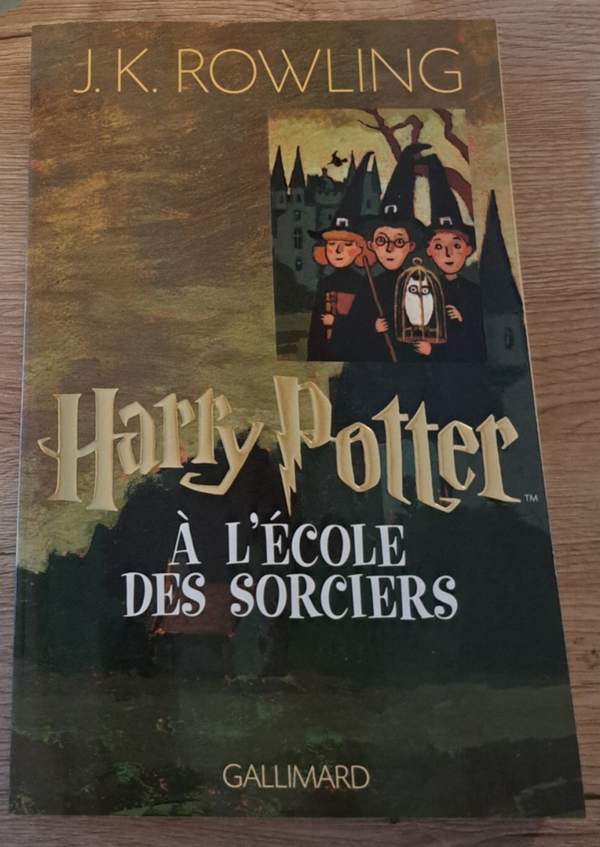 Harry Potter à l'école des sorciers