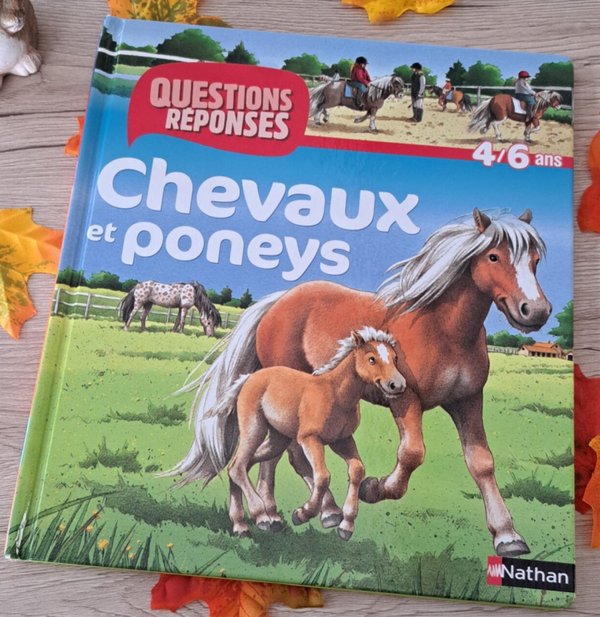 Chevaux et poney
