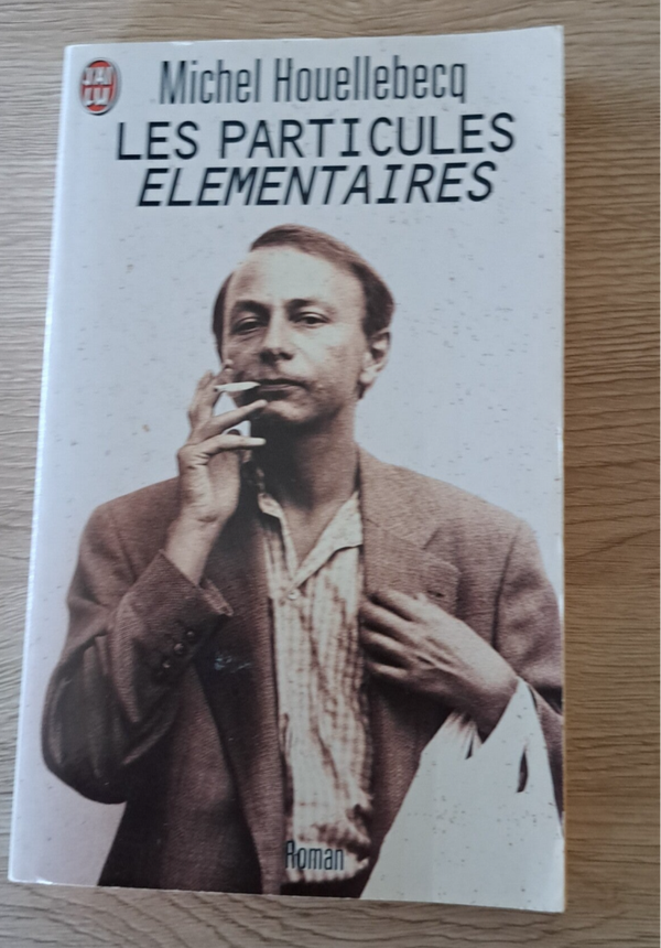 Michel Houellebecq - Les particules élémentaires
