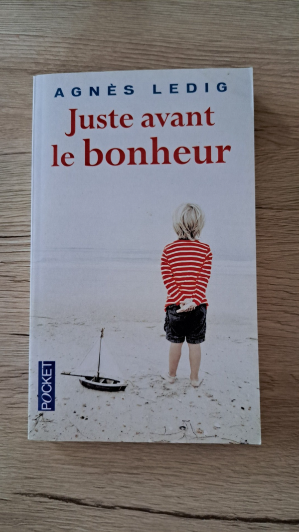 Agnès Ledig - Juste avant le bonheur