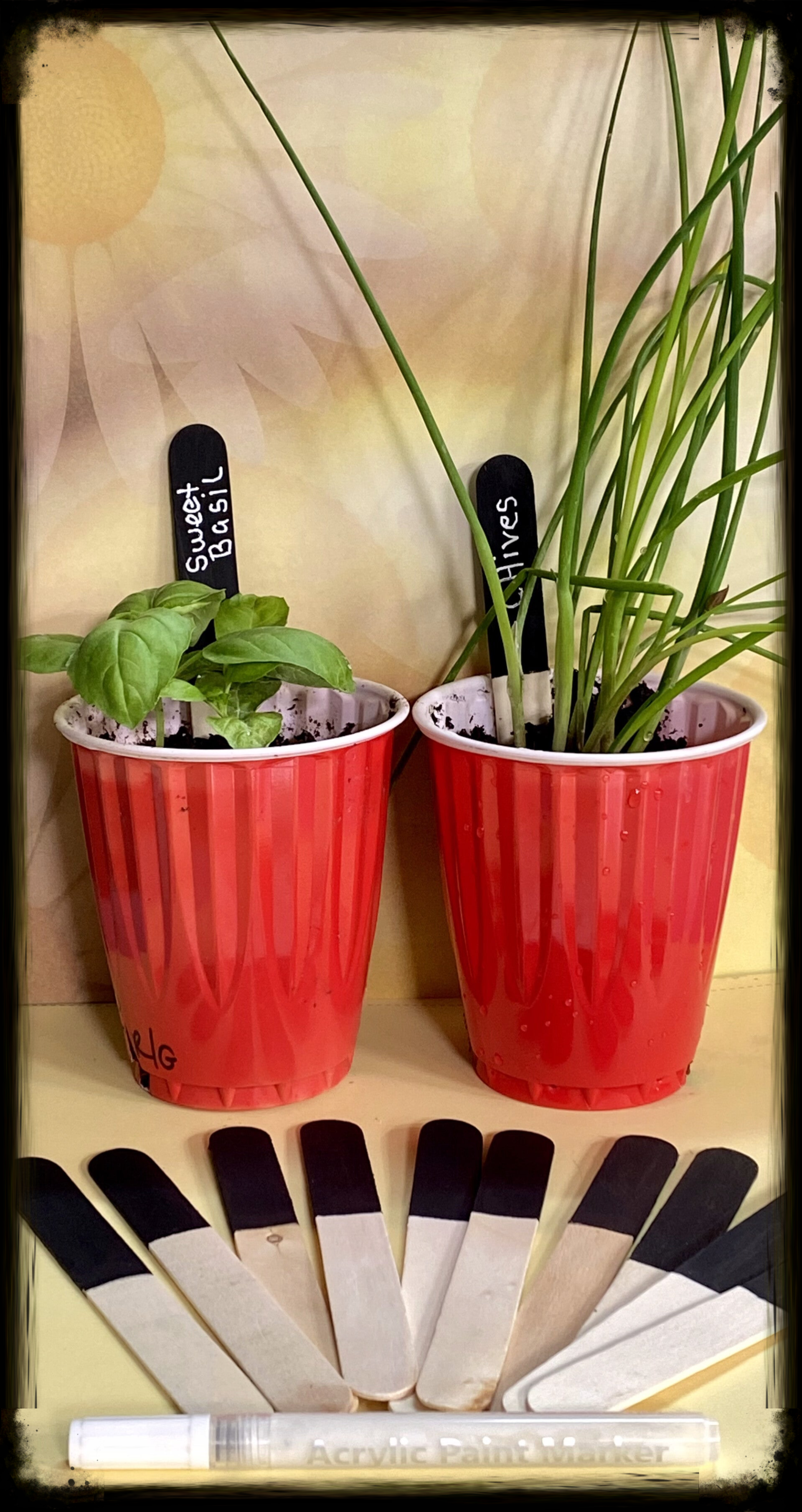 Chalkboard Plant Markers + White Acrylic Paint Pen