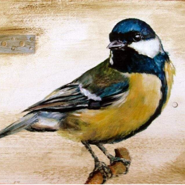 pioentulp
