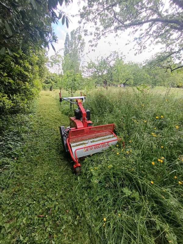 tonte hautes herbes