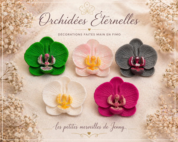 Orchidées