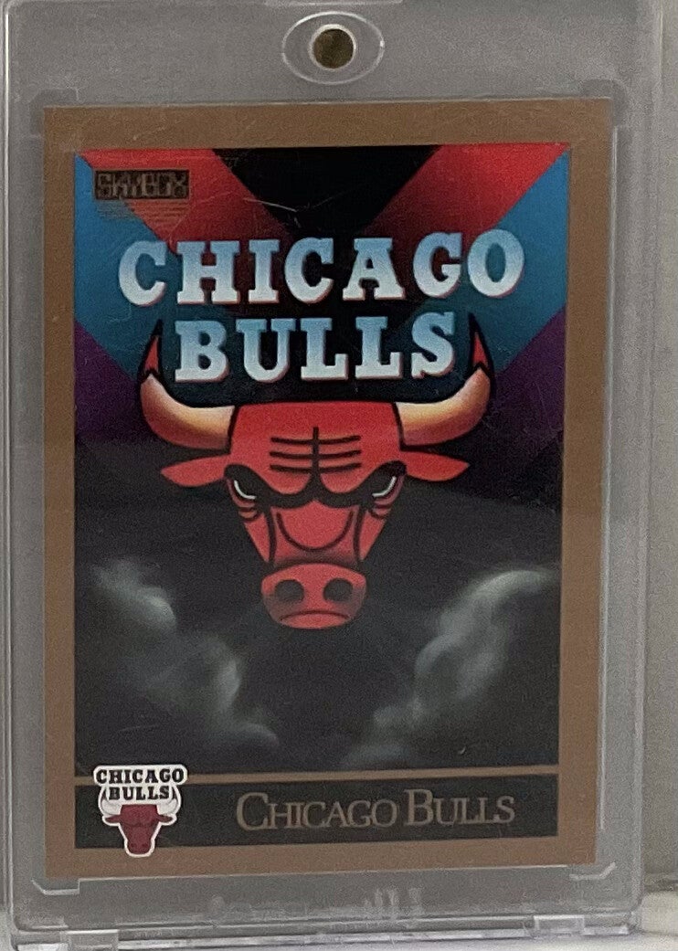 1991 chicago bulls skybox checklist card