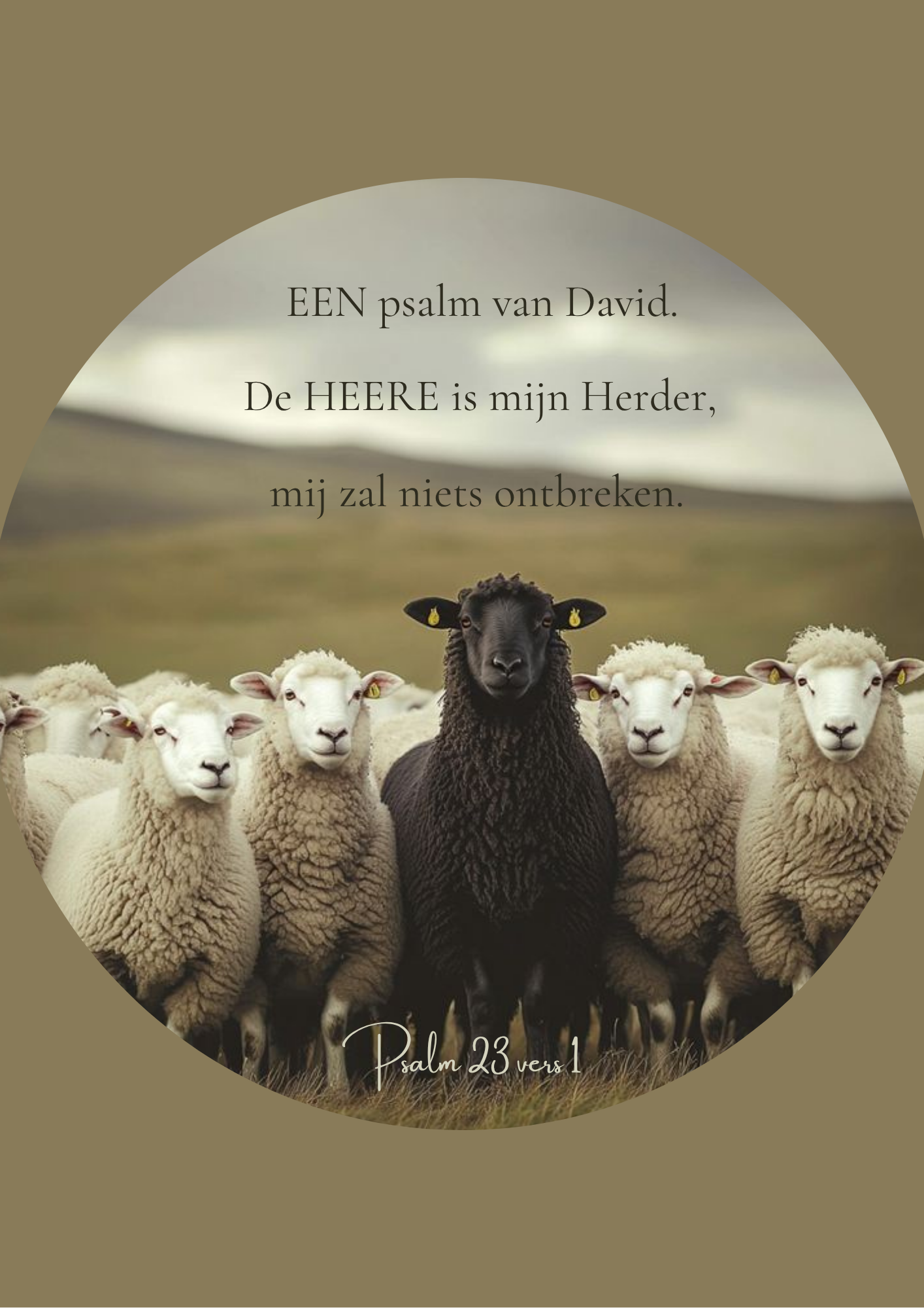 Muurcirkel 30 cm naar eigen wens