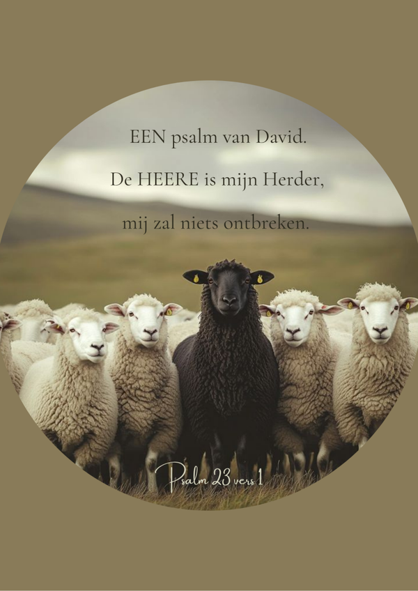 Muurcirkel 30 cm naar eigen wens