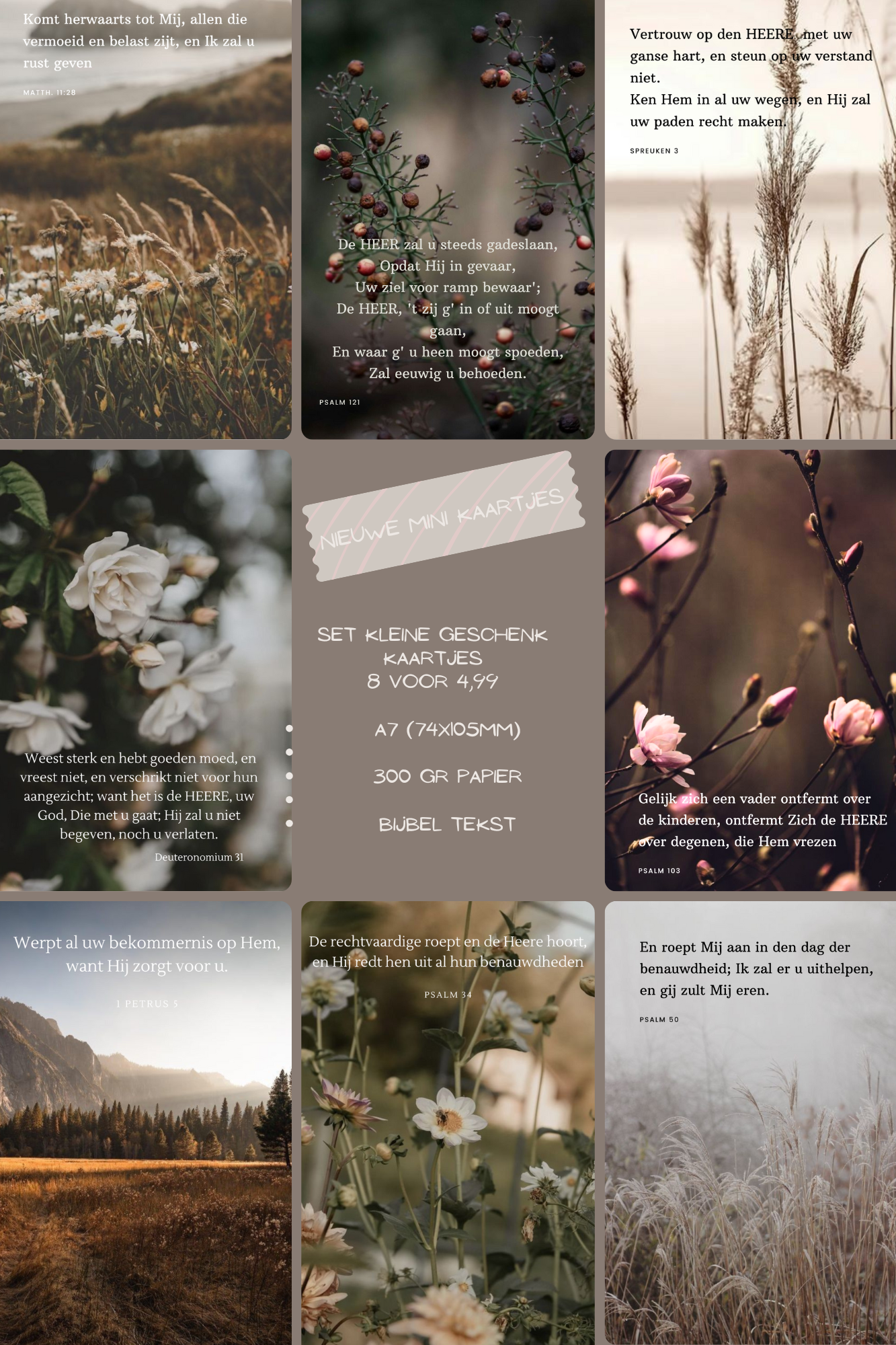 8 Mini Bijbeltekst kaartjes
