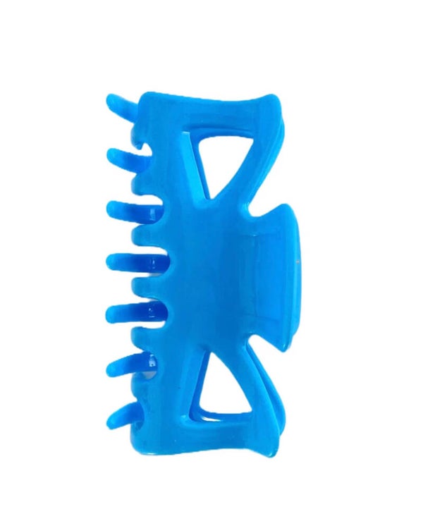 Anne-Fleur clip blauw