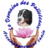 LE DOMAINE DES PALLETEAUX ACCOMPAGNEMENT CANIN comportementaliste et petsitter