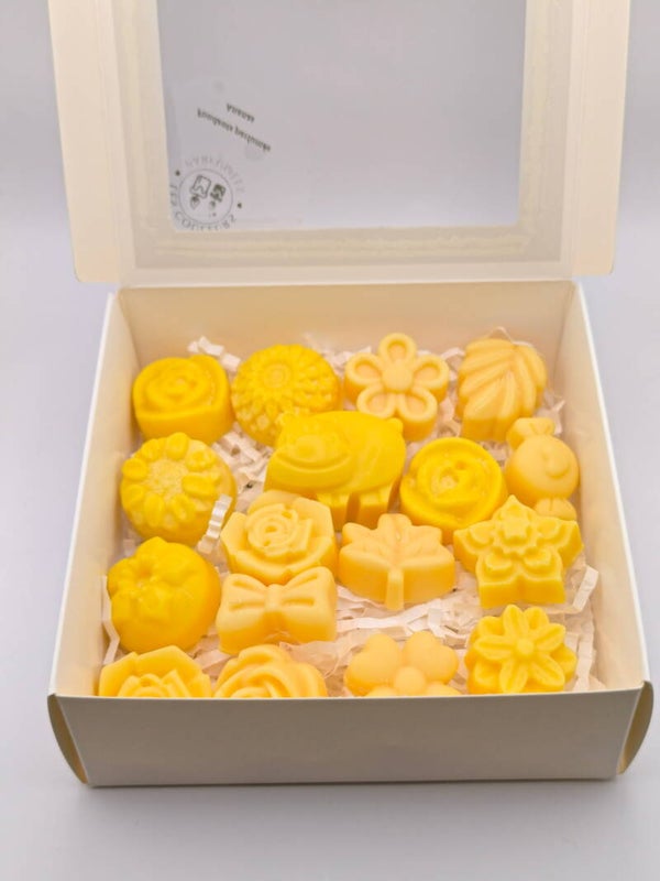 Fondants parfumés Odeur Fruitée