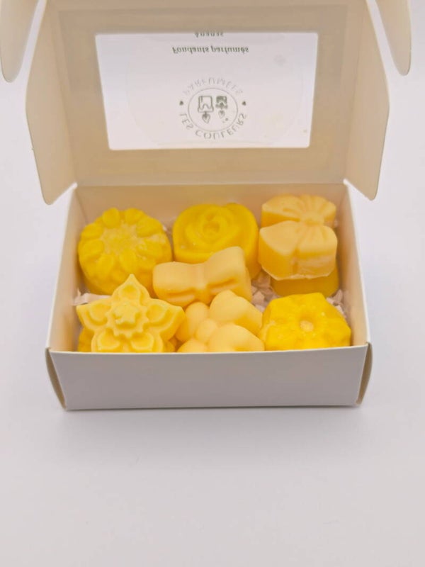Fondants parfumés Odeur Fruitée