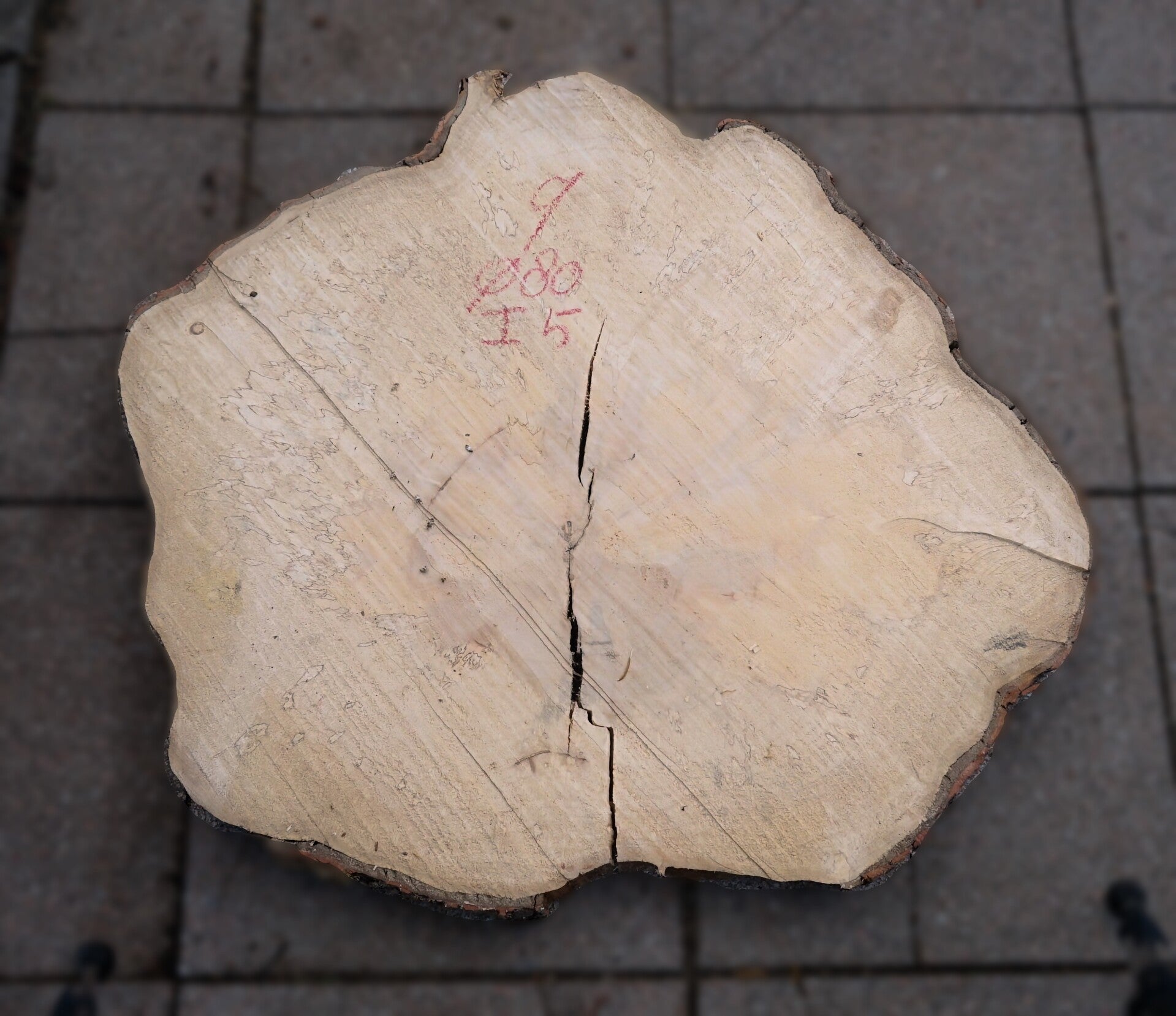 Esdoorn boomstamschijf 9