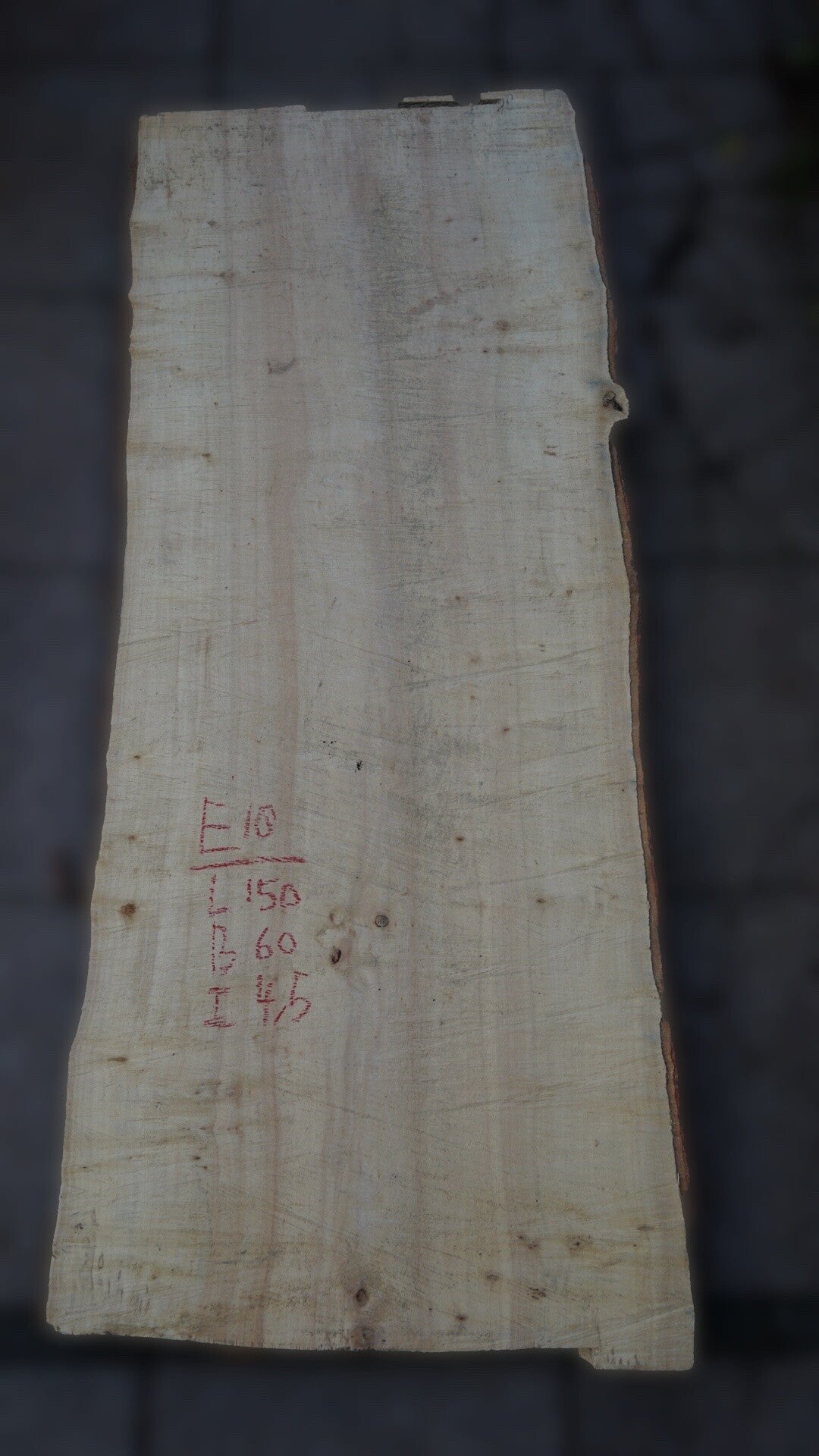 Esdoorn schaaldeel E10