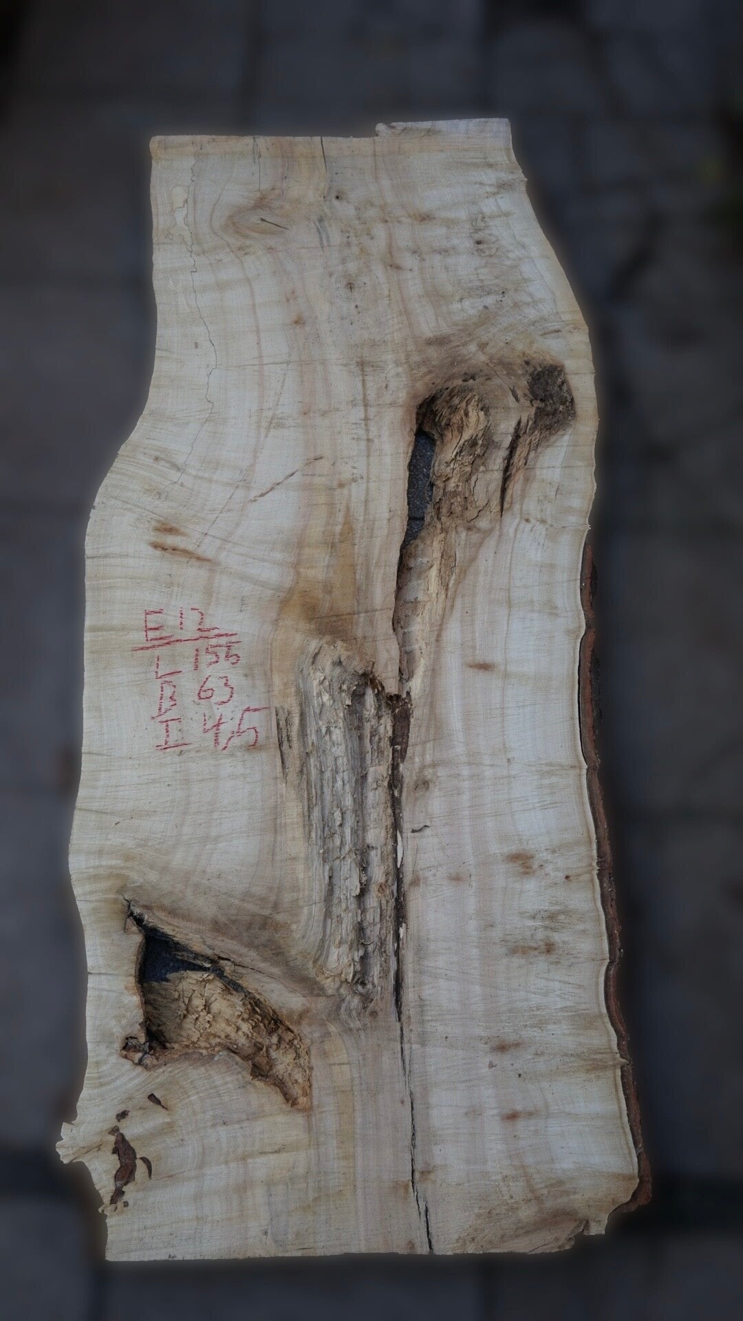 Esdoorn schaaldeel E12