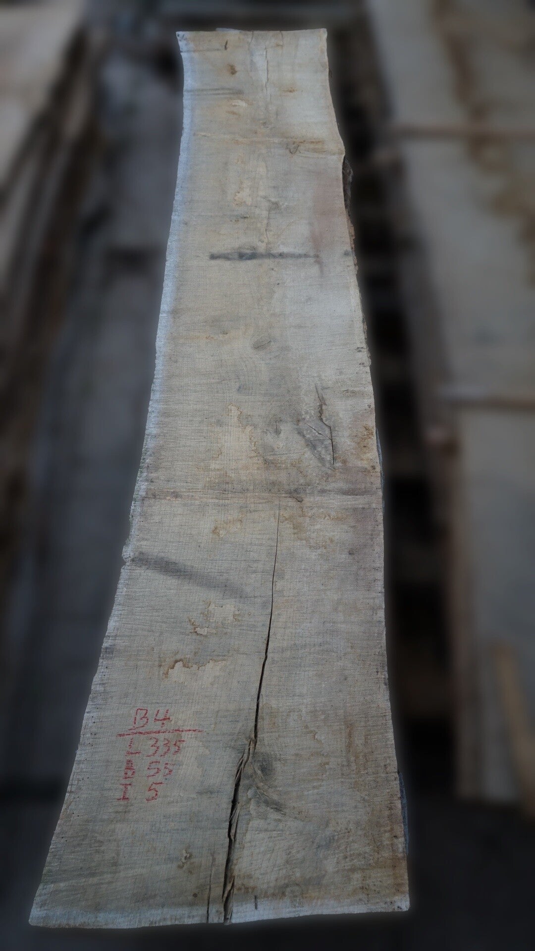 Europees eiken schaaldeel B4