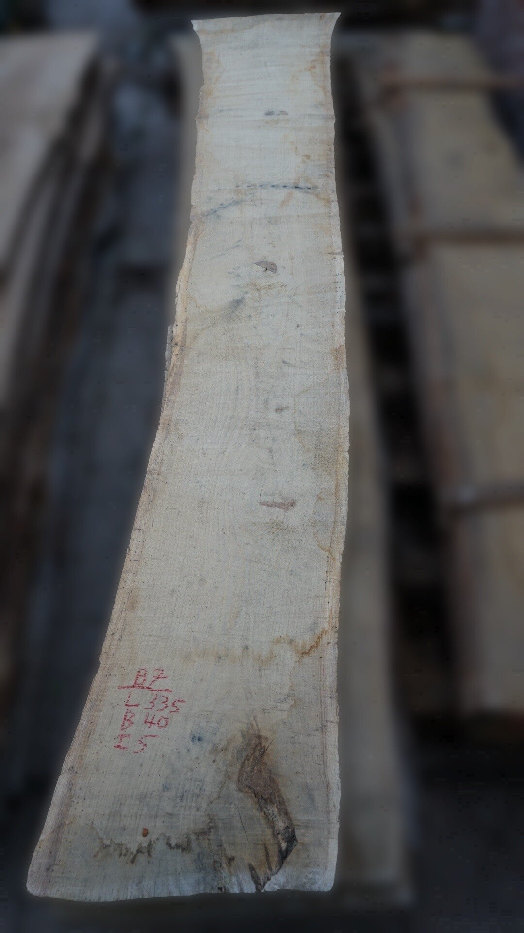 Europees eiken schaaldeel B7