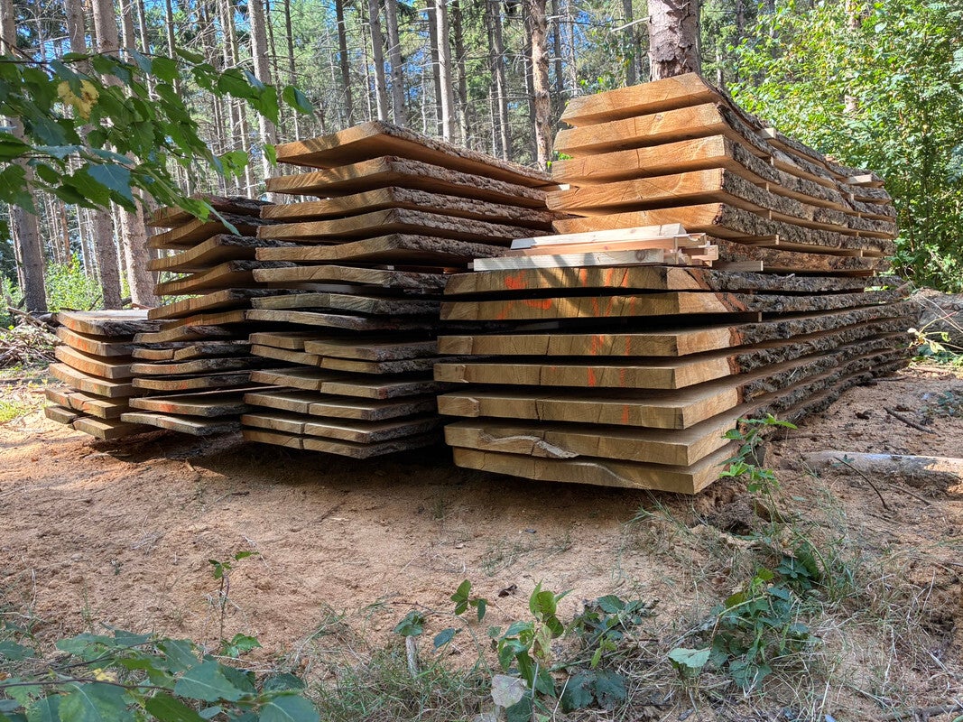Schaaldelen en boomstamplanken