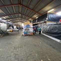 22-standard-yr0a85.jpg
