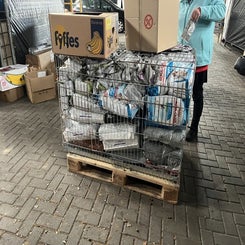 5-standard-7h0je4.jpg