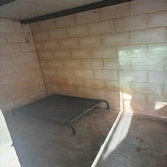 55366610-standard.jpg