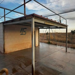 55382910-standard.jpg