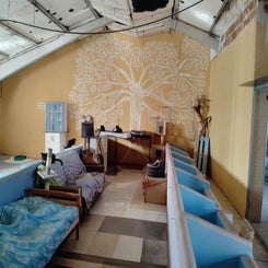 55432010-standard.jpg