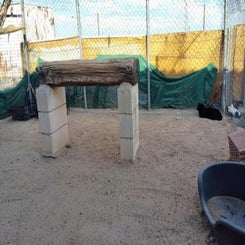 55572910-standard.jpg