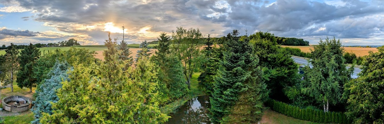 Teich im Garten des Zenners Landhotel