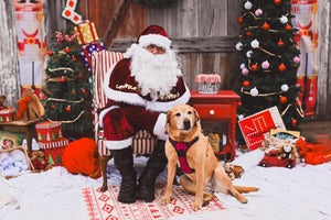 ginger-and-santa-copy-standard.jpg