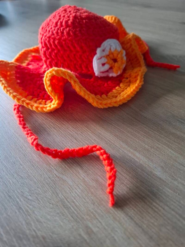 zonnehoed voor kat of kleine hond