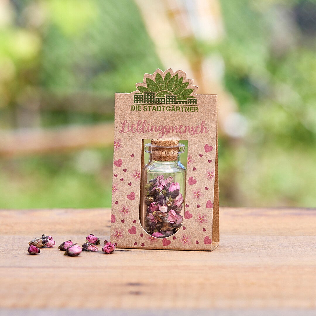 Die Stadtgärtner - Lieblingsmensch