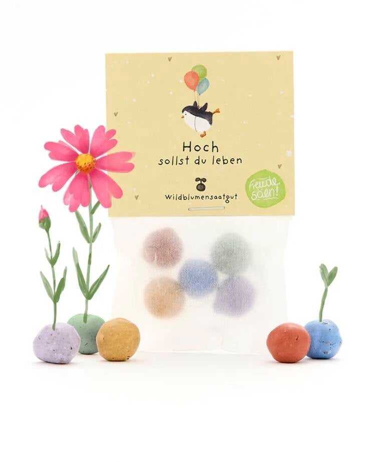 Die Stadtgärtner - Blumenmurmeln Hoch sollt du Leben