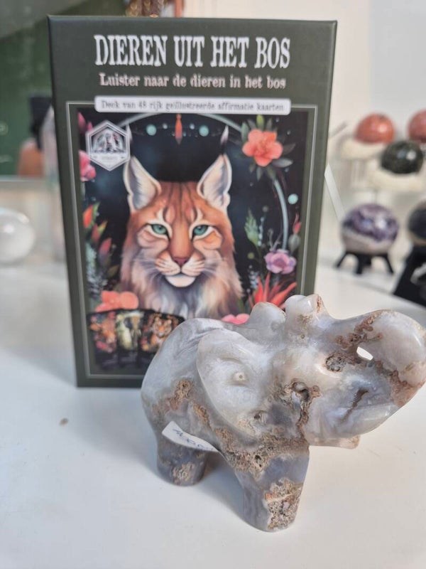 Beestig leuk set 😅