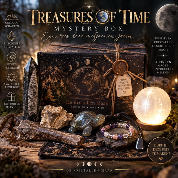 🌍 TREASURES OF TIME Mystery Discovery Box ✨
