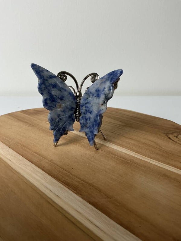 Vlinder Sodaliet #97